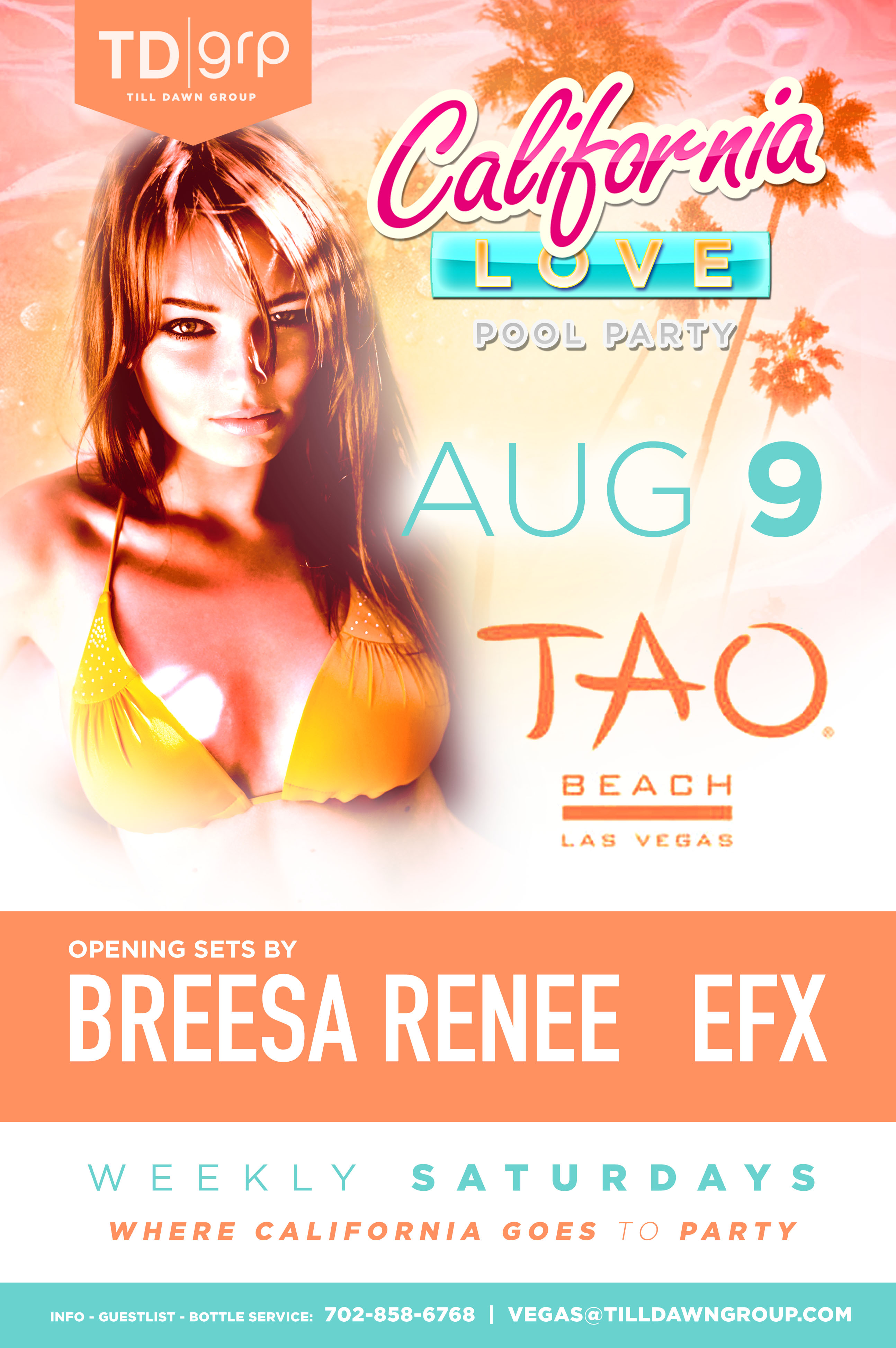 DJ flyer - Breesa Renee